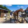Image of Girl giving her horse a bath using Onsen 5L Water Heater
